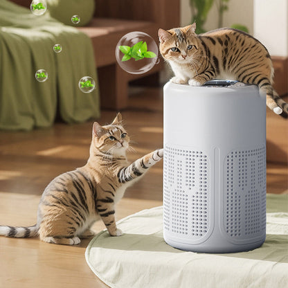 🌬️ 50% OFF NOW! 🔥 Silent Air Purifier – Peaceful sleep, no noise – HEPA filter, removes allergens & dust – perfect for bedroom or nursery 🔇😴