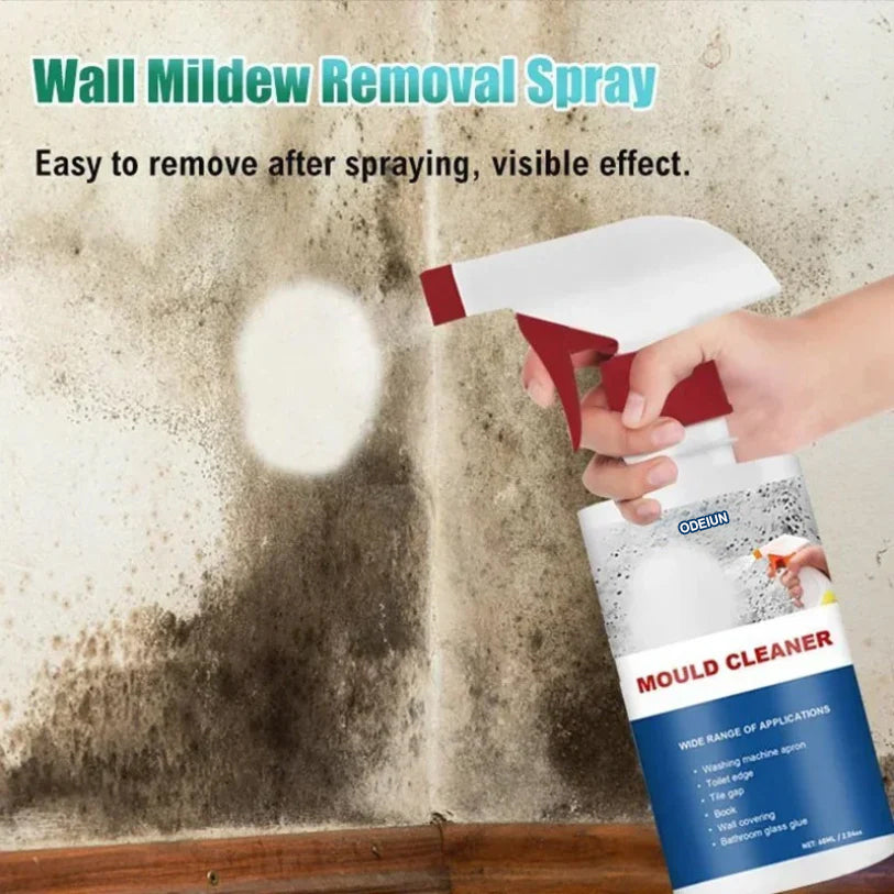 🔥BLACK FRIDAY SALE 50% OFF!!🔥MOULD CLEANER Revive Spray: Instant Mold Removal Solution